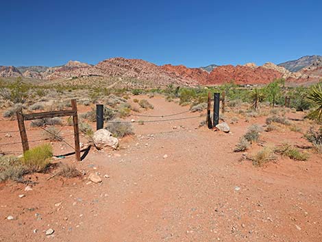 Calico Wash Trail