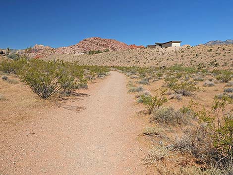 Calico Wash Trail