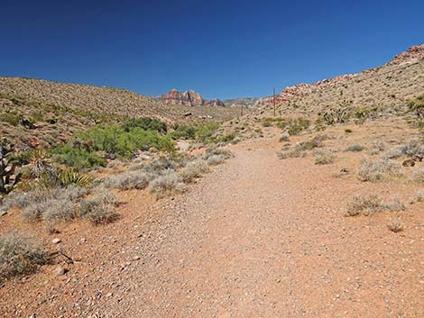 Calico Wash Trail