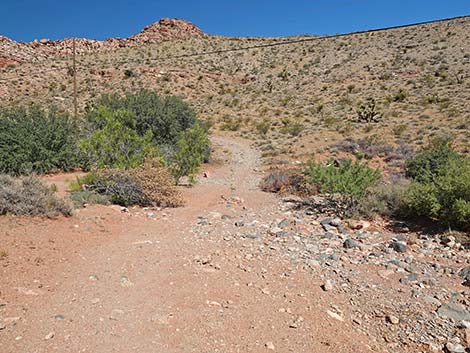 Calico Wash Trail