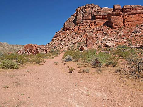 Calico Wash Trail