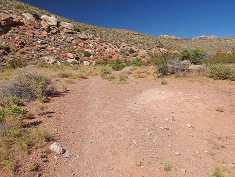 Calico Wash Trail