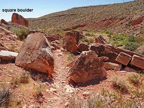 Calico Wash Trail