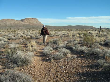 Campground Flats Loop