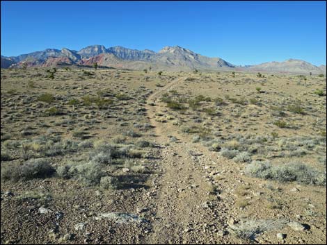 Campground Flats Loop Trail