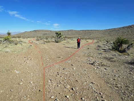 Big, open country with gentle slopes (view SE)