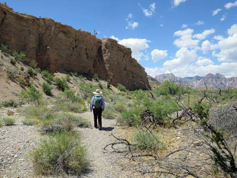 Campground Wash Trail