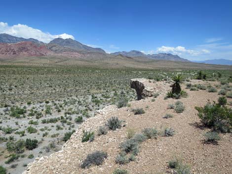 Campground Wash Trail