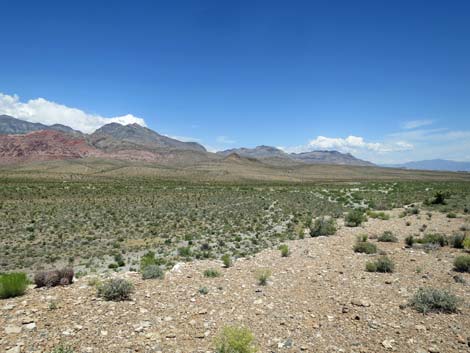 Campground Wash Trail