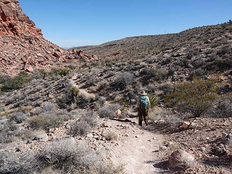 Entrance Station to Calico Basin Trail