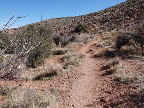 Entrance Station to Calico Basin Trail