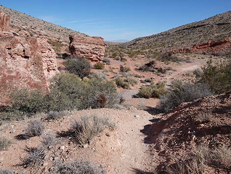 Entrance Station to Calico Basin Trail