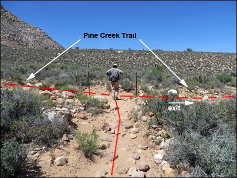 Fire Ecology Trail