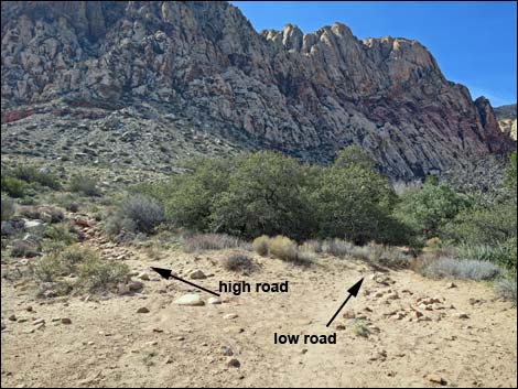 First Creek Canyon