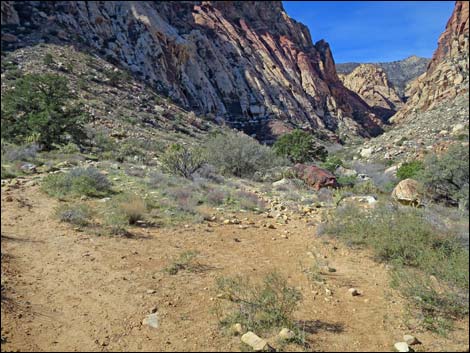 First Creek Canyon