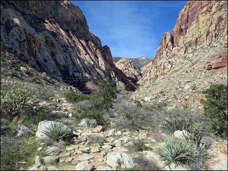 First Creek Canyon