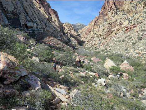 First Creek Canyon