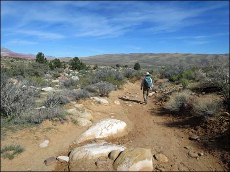 First Creek Canyon