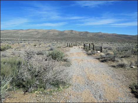 First Creek Canyon