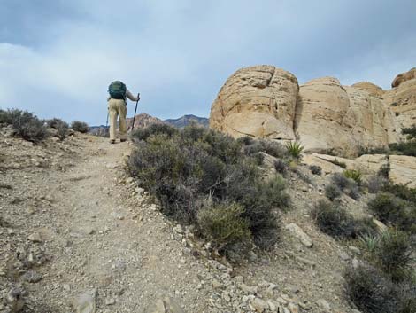 Grand Circle Trail