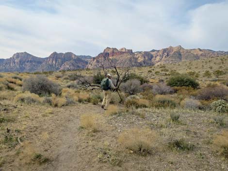 Grand Circle Trail