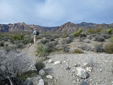 Grand Circle Trail