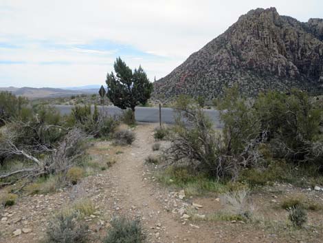 Grand Circle Trail