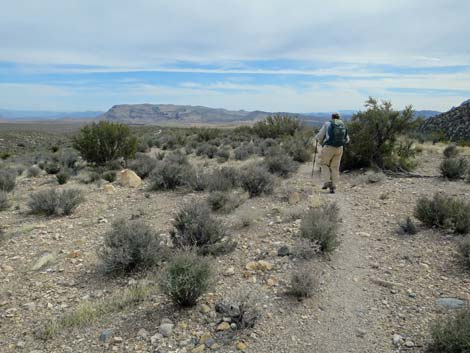 Grand Circle Trail