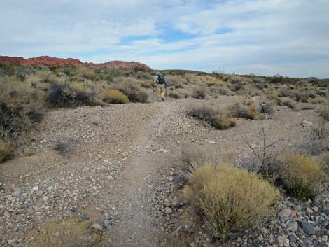 Grand Circle Trail