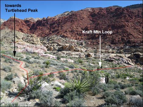 Kraft Mountain Loop