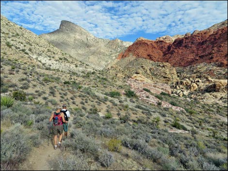 La Madre Mountain Wilderness Area