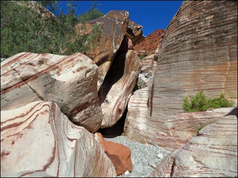 Kraft Mountain Loop