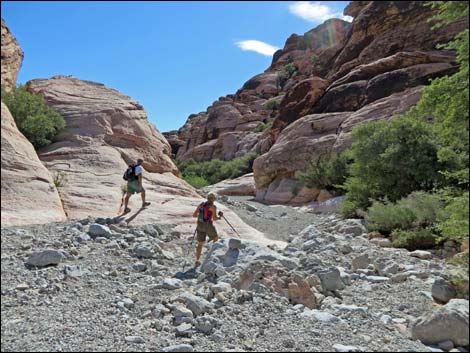 Kraft Mountain Loop