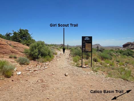 Calico Basin Trail