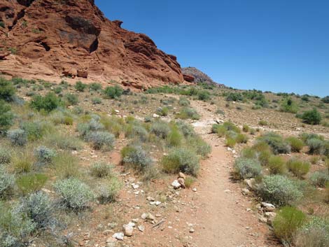 Girl Scout Trail