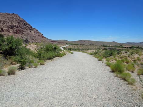 Girl Scout Trail