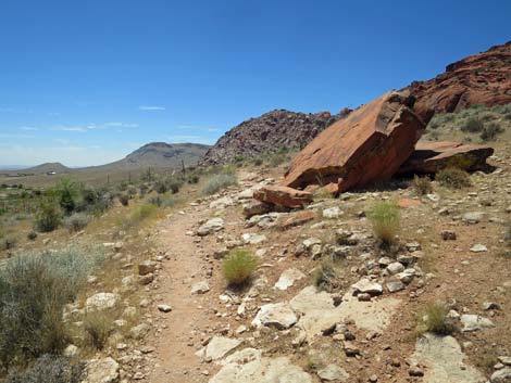 Girl Scout Trail