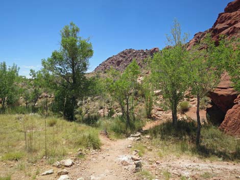 Girl Scout Trail