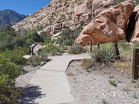 handprints trail