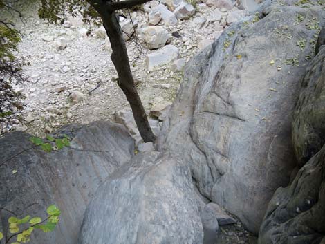 Ice Box Canyon