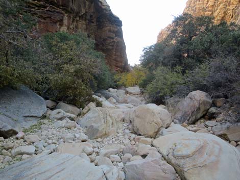 Ice Box Canyon