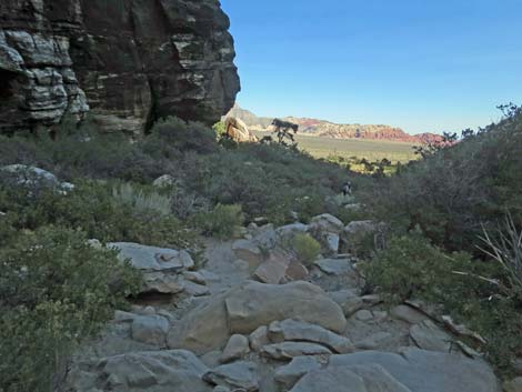 Ice Box Canyon