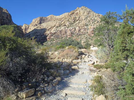 Ice Box Canyon