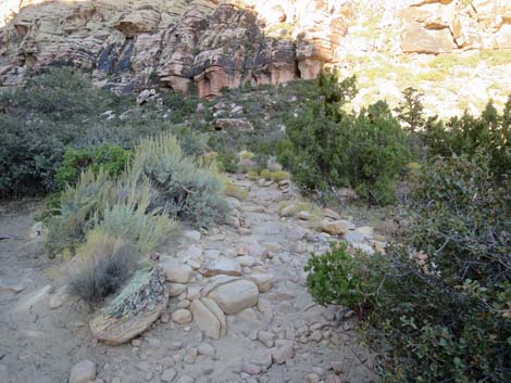 Ice Box Canyon