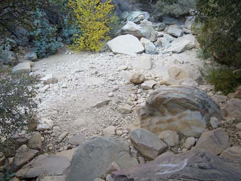 Ice Box Canyon