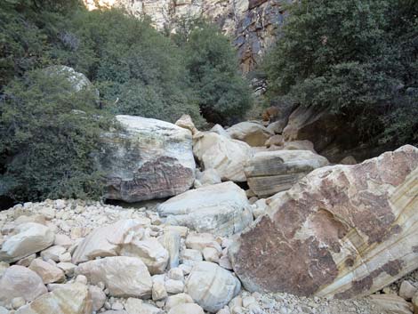 Ice Box Canyon