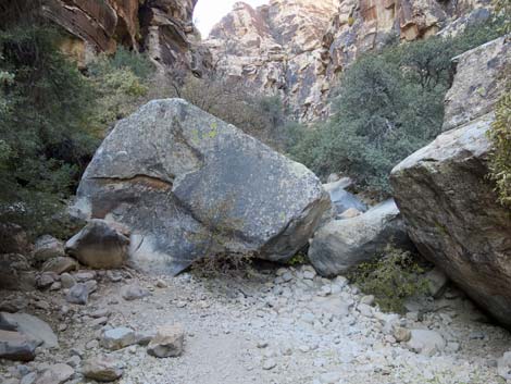 Ice Box Canyon