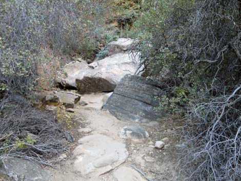 Ice Box Canyon