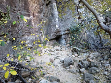 Ice Box Canyon