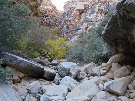 Ice Box Canyon